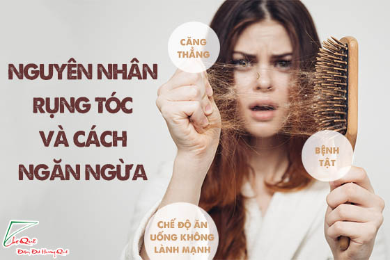 phục hồi mái tóc sơ rối bằng tinh bột nghệ